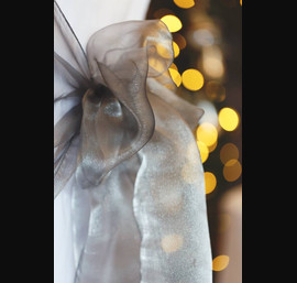 Sparkly Silver Organza Sashes