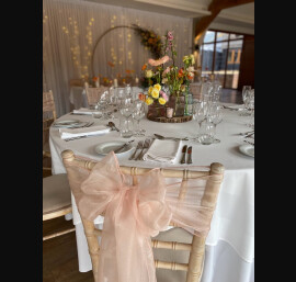 Blush peach organza