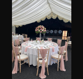 Blush Pink Chiffon Drapes with matching Napkins